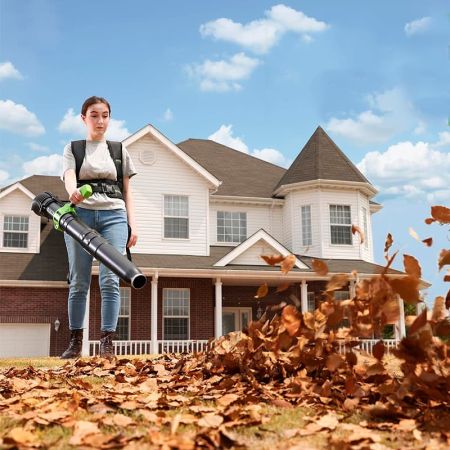 Ранцевая воздуходувка аккумуляторная GREENWORKS GD40BPG2, 40V, бесщеточный