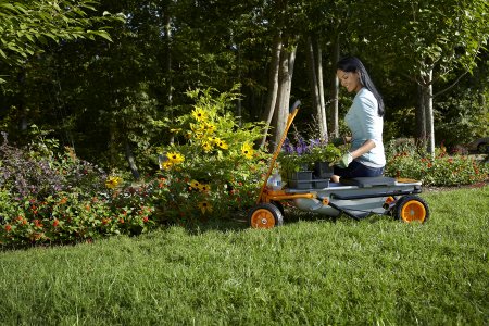 Садовая тележка WORX WG050 Aerocart